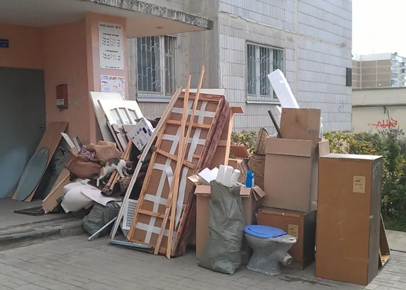 Профессиональный вывоз мусора из квартиры в Астрахани в октябре