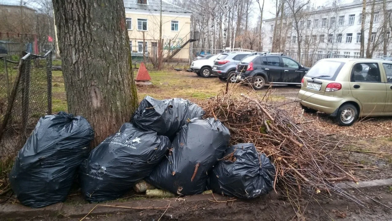 Вывоз мусора после субботника в Астрахани от ПроМусор – уборка и утилизация отходов от 2415 руб