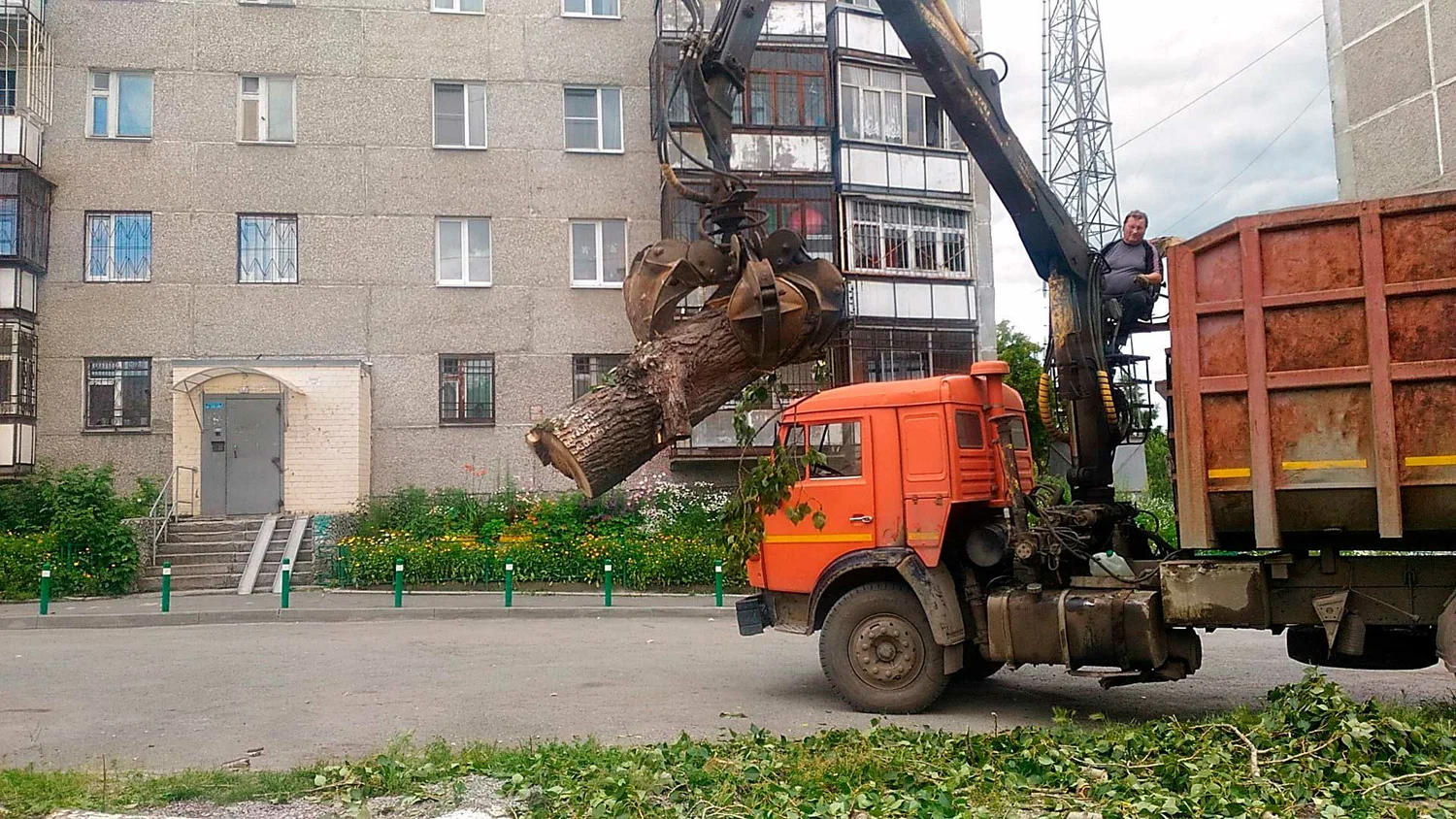 Вывоз спиленных веток и деревьев в Астрахани от ПроМусор: порубочные остатки, утилизация, цена от 2980 руб