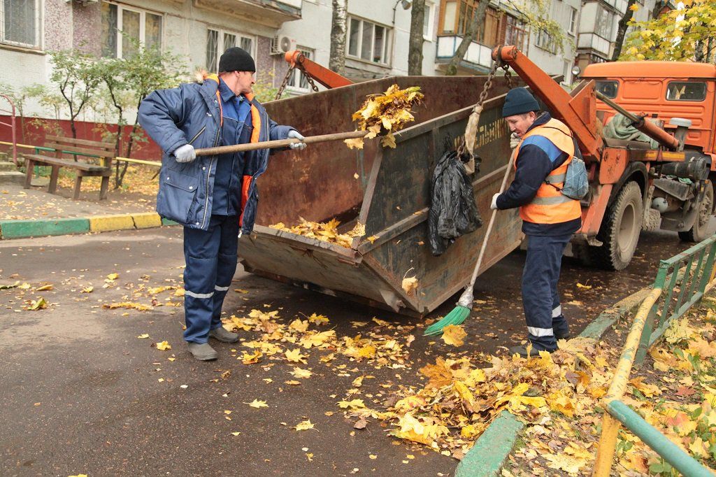 Вывоз опавшей листвы и растительного мусора в Астрахани от ПроМусор – цена от 4624 руб., быстрая уборка и утилизация